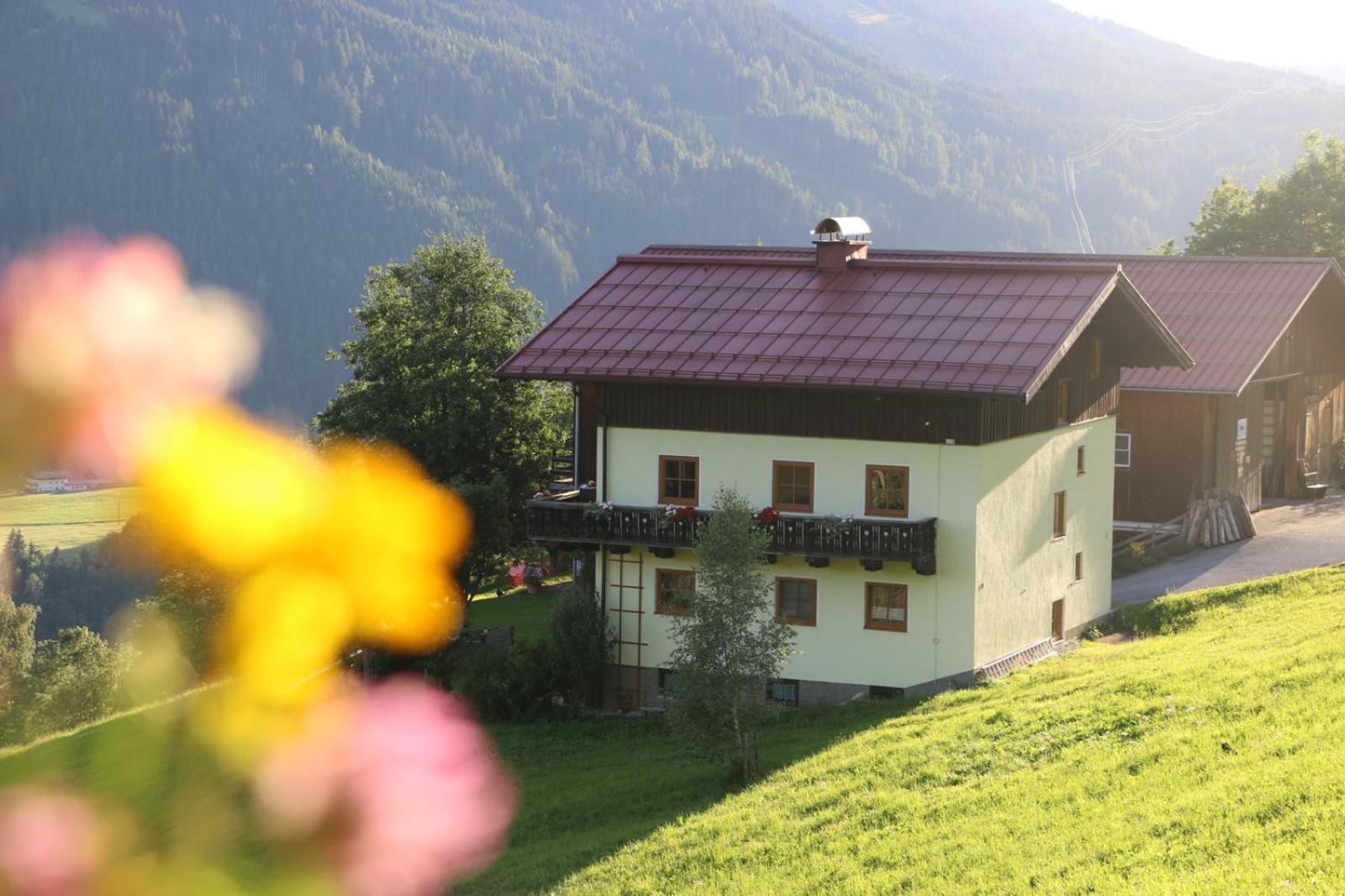 Molteraugut Appartement Mühlbach am Hochkönig Buitenkant foto