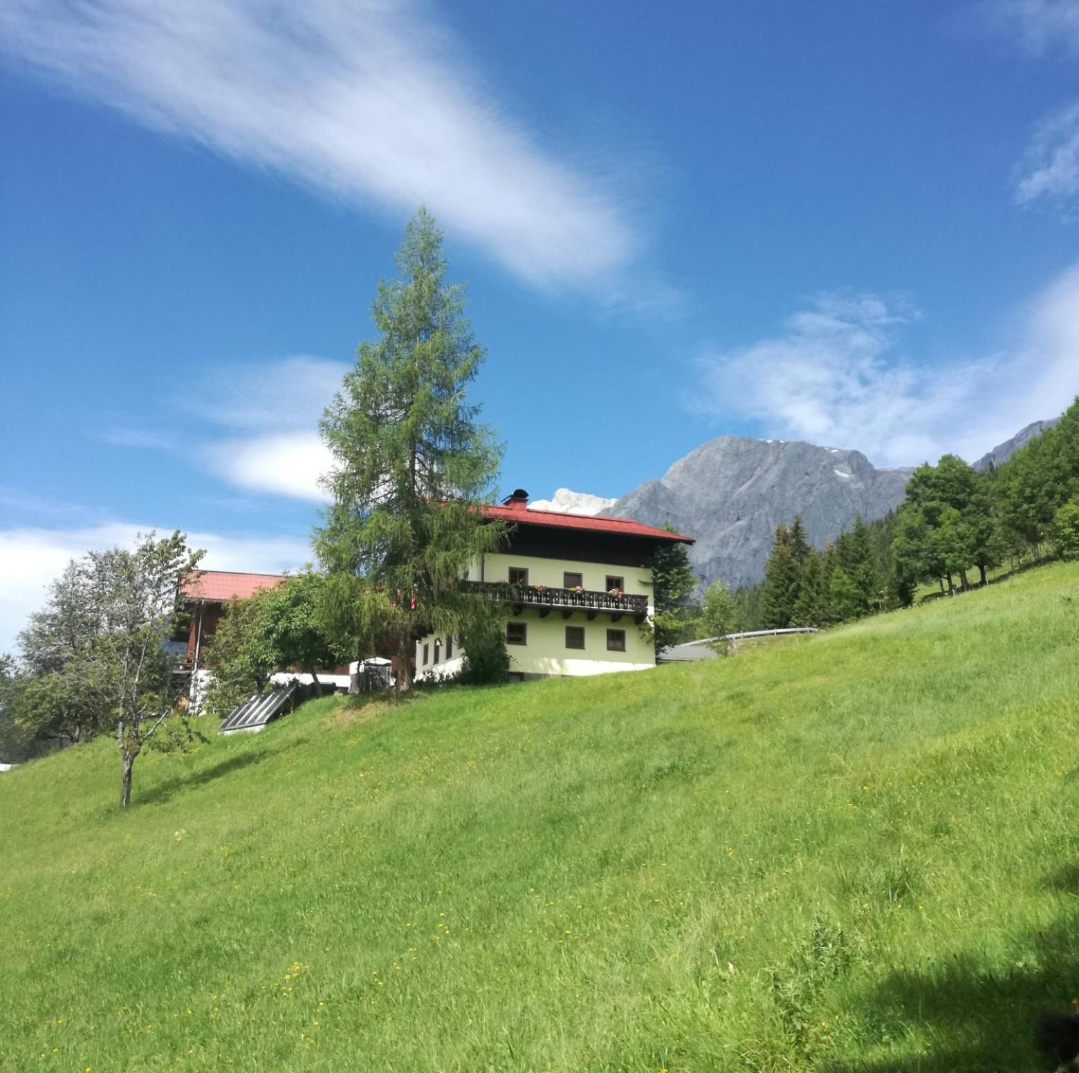 Molteraugut Appartement Mühlbach am Hochkönig Buitenkant foto